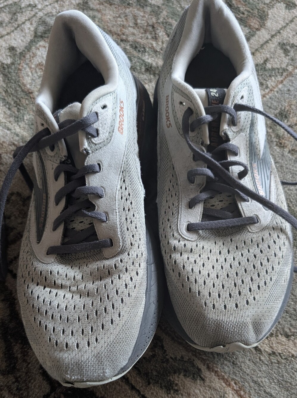Brooks Adrenaline GTS 24. (Women's 12 or EUR 44.5)